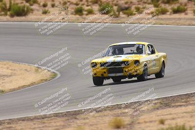 media/Oct-25-2025-West Coast Racing (Sat) [[9fdcbcd09c]]/Yellow group/Turn 3/